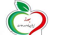 تقدیر مدیر شبکه بهداشت و درمان طالقان از بهورزان پرتلاش شهرستان طالقان