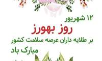 پیام قدردانی مدیر شبکه بهداشت و درمان طالقان از خدمات ارزشمند بهورزان شهرستان